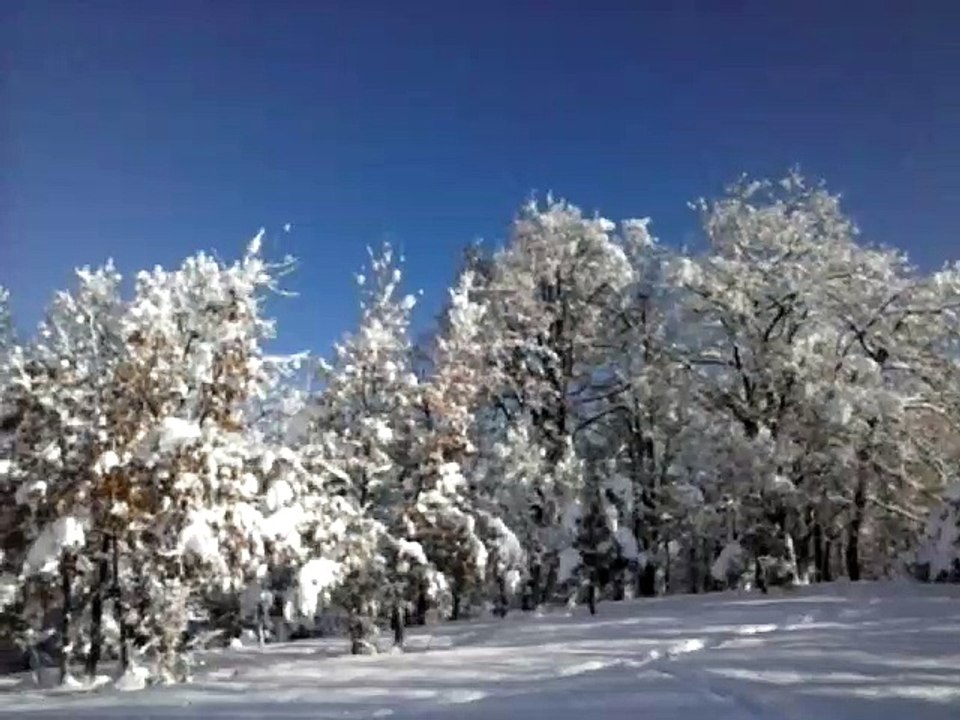 vinter