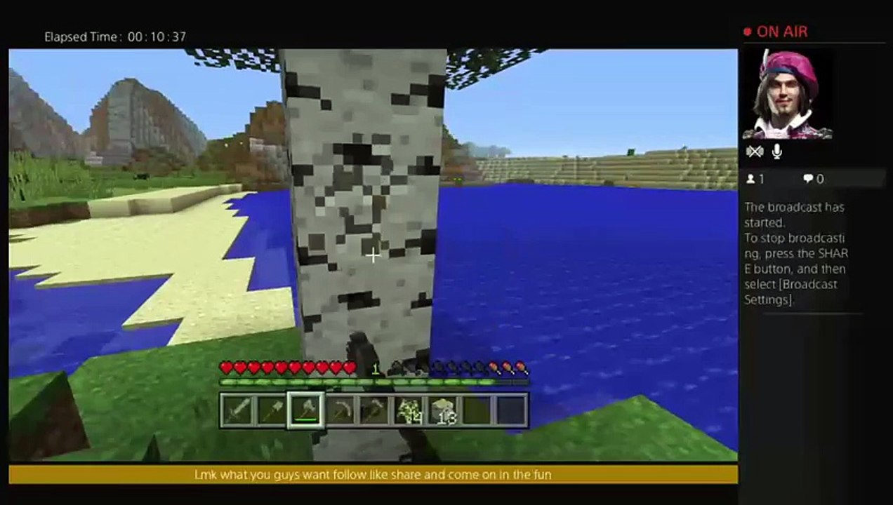 Minecraft solo world (2)