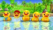 Numbers Song  Counting Five Little Ducks By Chu Chu Nursery Rhymes