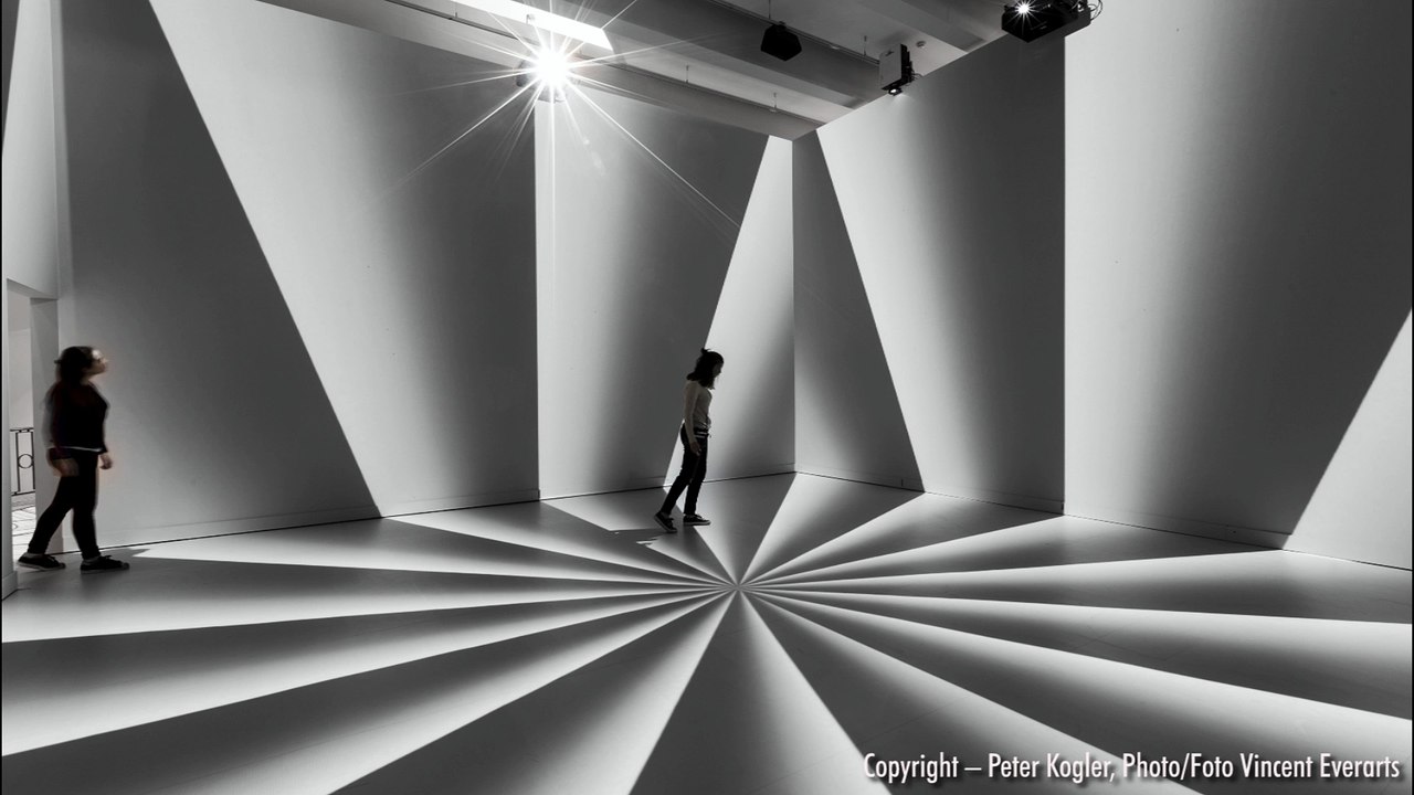 Expo Peter Kogler