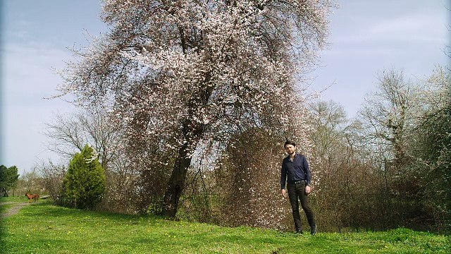 Ünal Zorer - Gönül