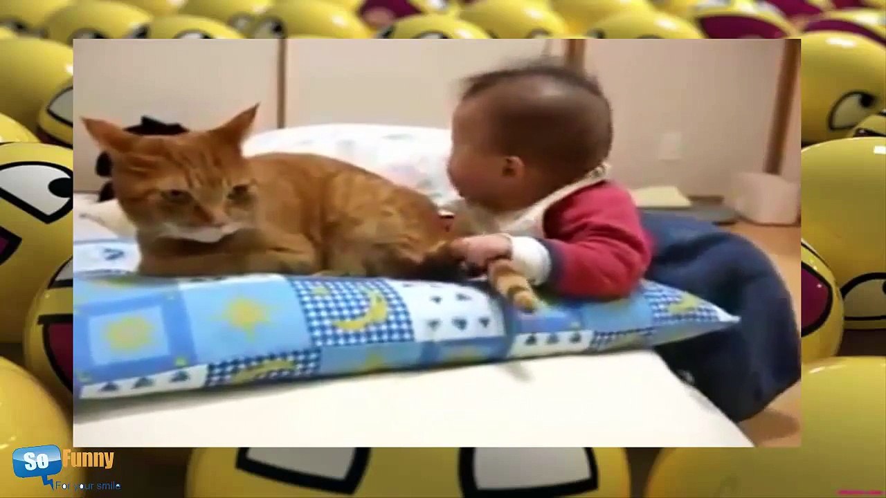 Funny Videos Of Cats And Babies Compilation 2016