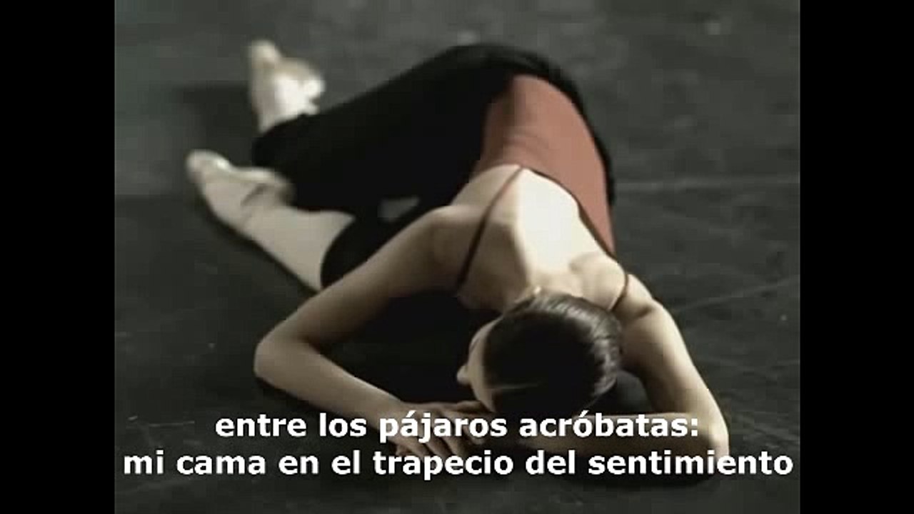 Hilde Domin-Nur eine Rose als Stütze-  Sólo una rosa como apoyo -  subt español