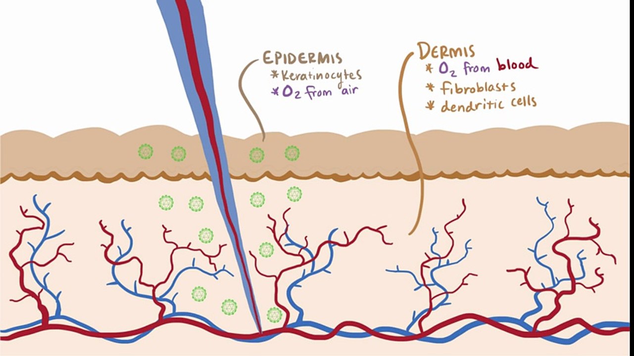 Zika virus - definition_ symptoms & complications