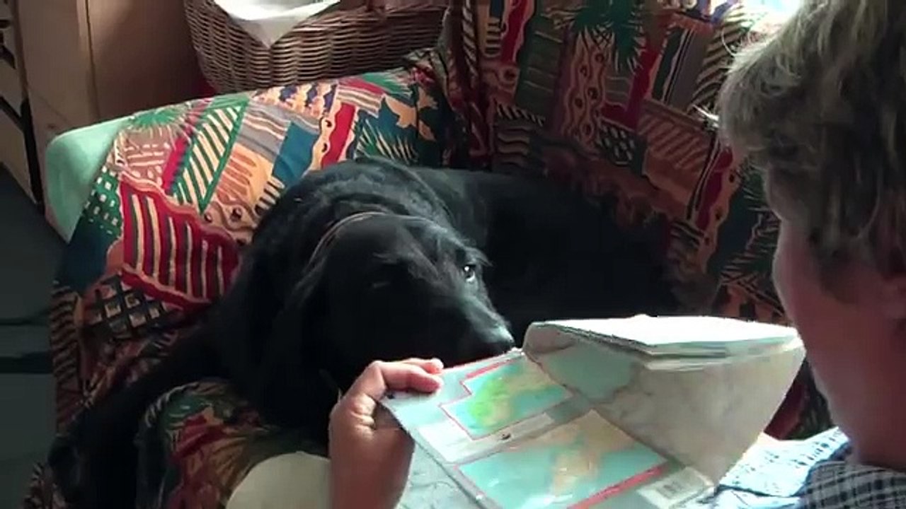 Map-reading