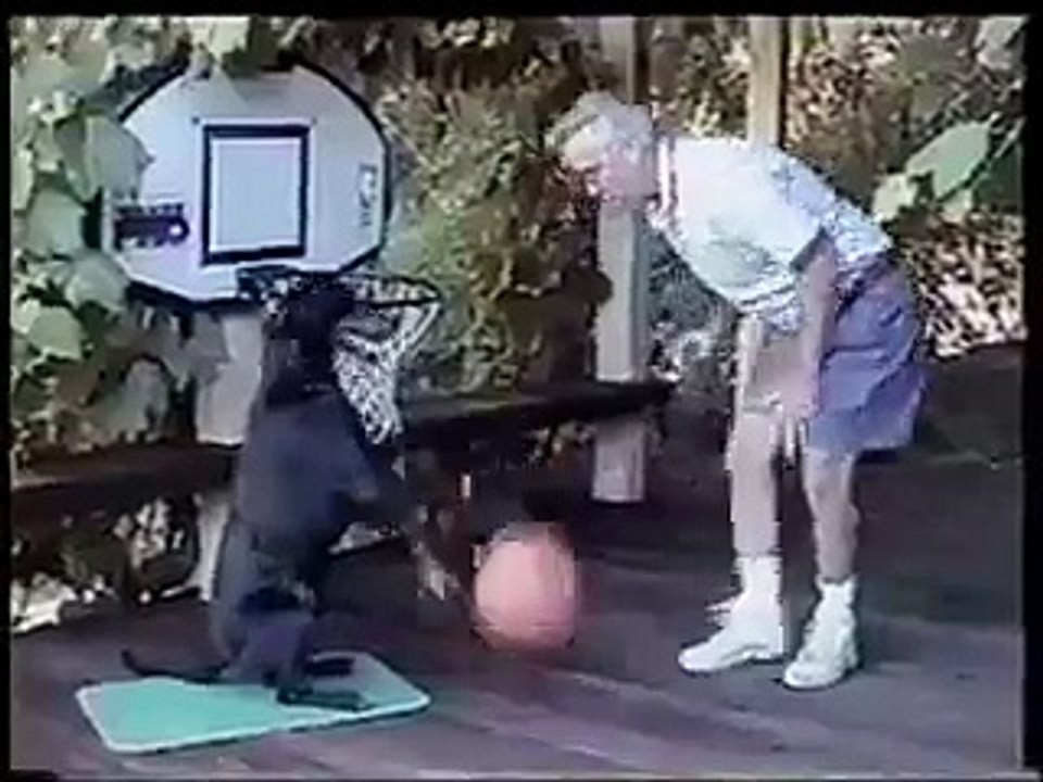 كلب يلعب كرة السلة