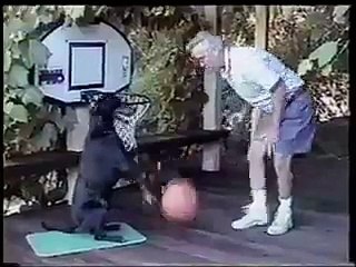 كلب يلعب كرة السلة