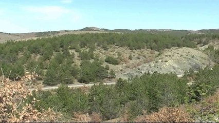 SEMUNDJA QE PO SHKATERRON PISHAT NE KORÇE, PROCESIONARJA MBULON MASIVET PYJORE LAJM