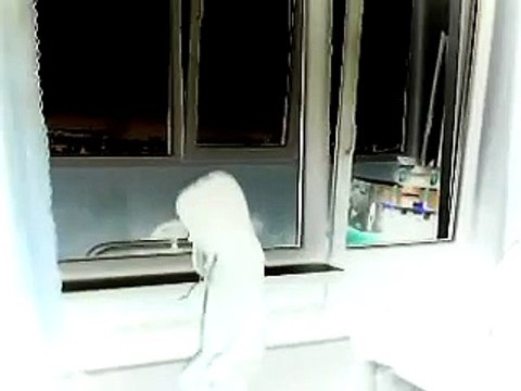 Пожирательница - детский фильм ужасов