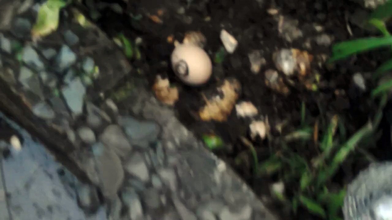 Humpty Dumpty part 5 real life Hunters dad died