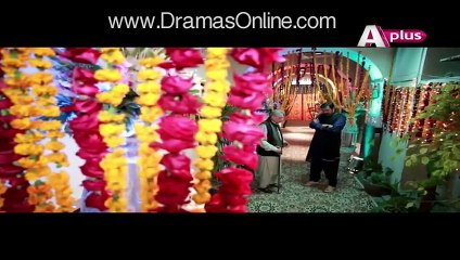 Bhai Episode 21 Full Aplus Drama 10 April 2016