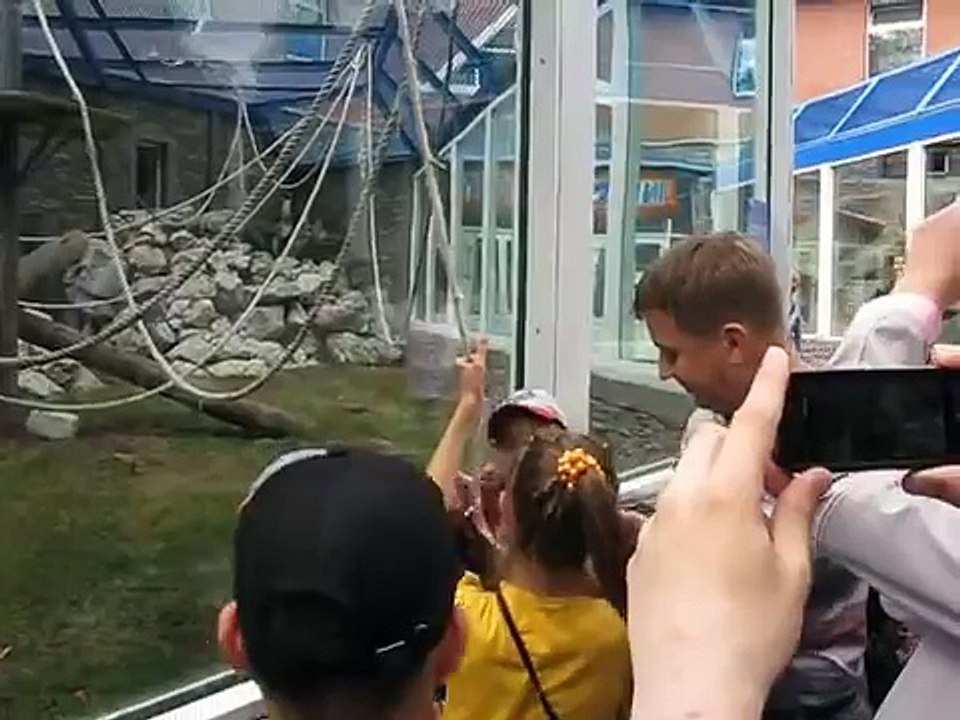 Smart Monkey