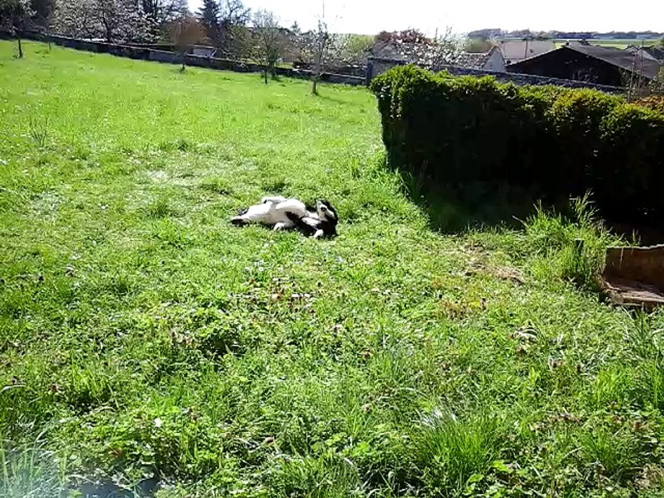 Le Folk & Cie un beau jour de printemps