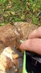 Elle casse les téléphones de ses enfants avec un fusil