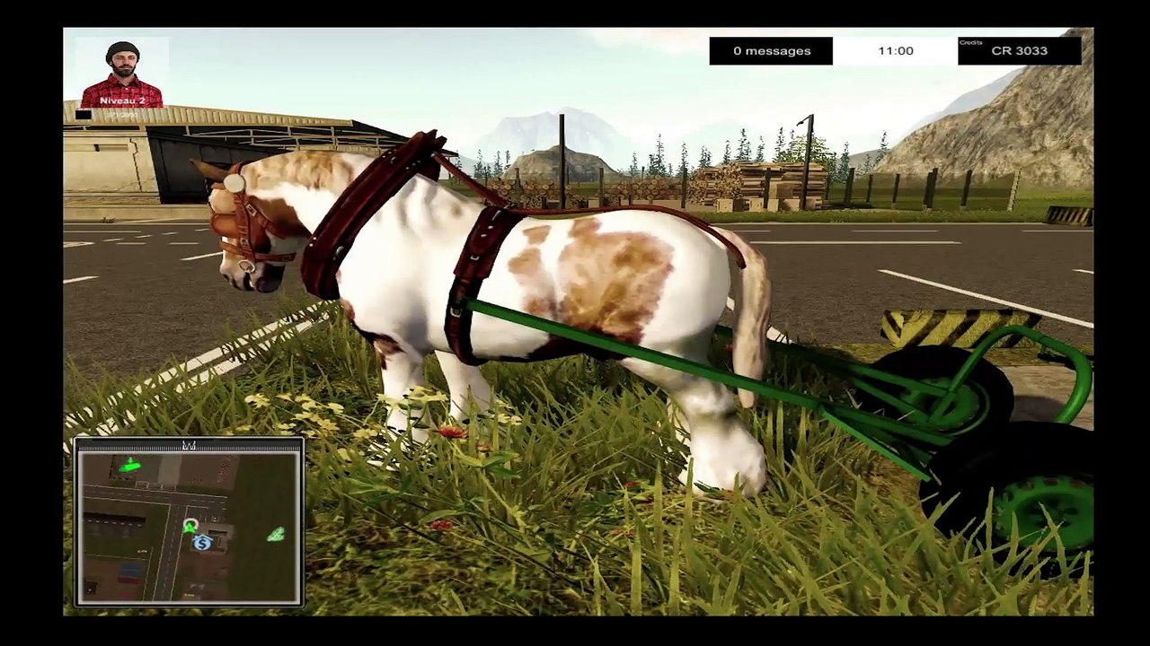 Forestry 2017 The Simulation games*1