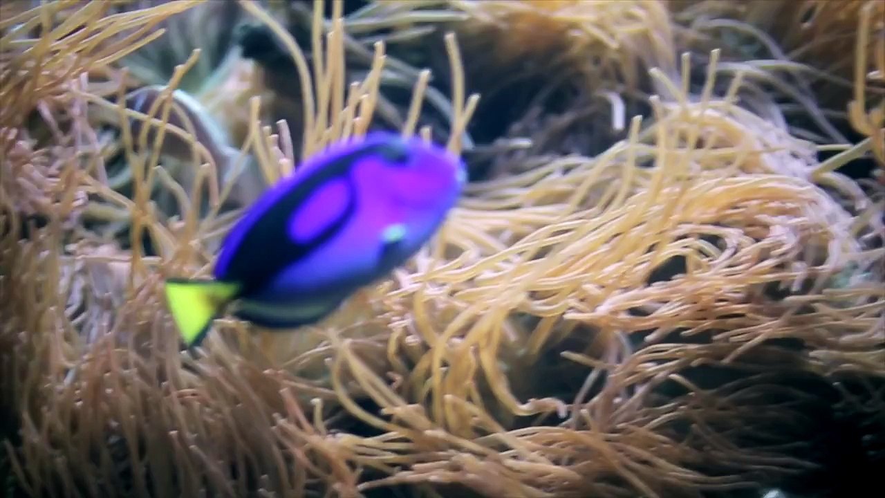 HEIRSOUND - _My Own_ [OFFICIAL MUSIC VIDEO]