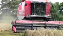 Massey Ferguson combine harvesting Winter Wheat 2012. mvw