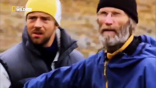 Animals Attack Kill People Documentary | Ultimate Predators Jaw Of Death ANIMAL WILD CHANNEL