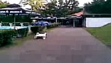 banja