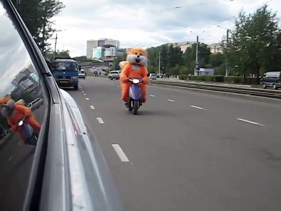 Белка на мопеде.