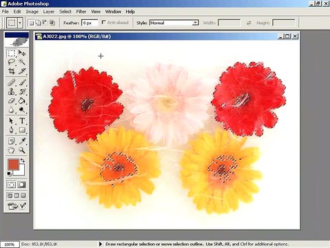 Photoshop CS Dersleri - Aynı rengin kullanıldiğı birden fazla alanı seçmek