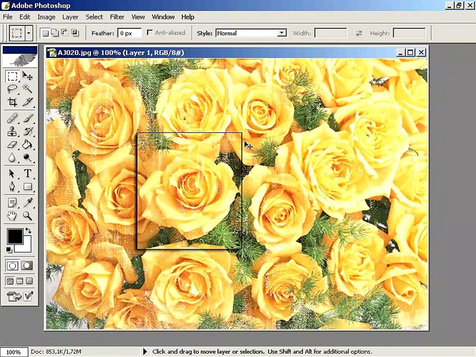 Photoshop CS  Dersleri -Bir resmi çoğaltmak