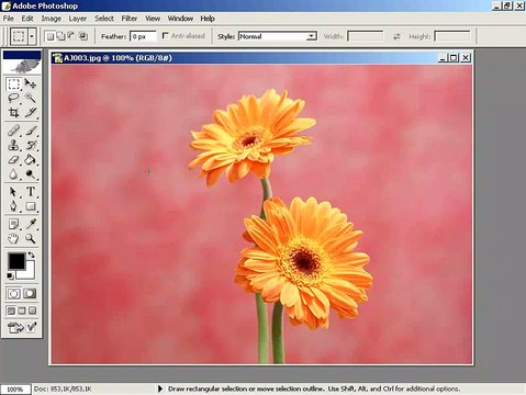 Photoshop CS Dersleri -Bir resmi diğerinin içine yerleştirmek