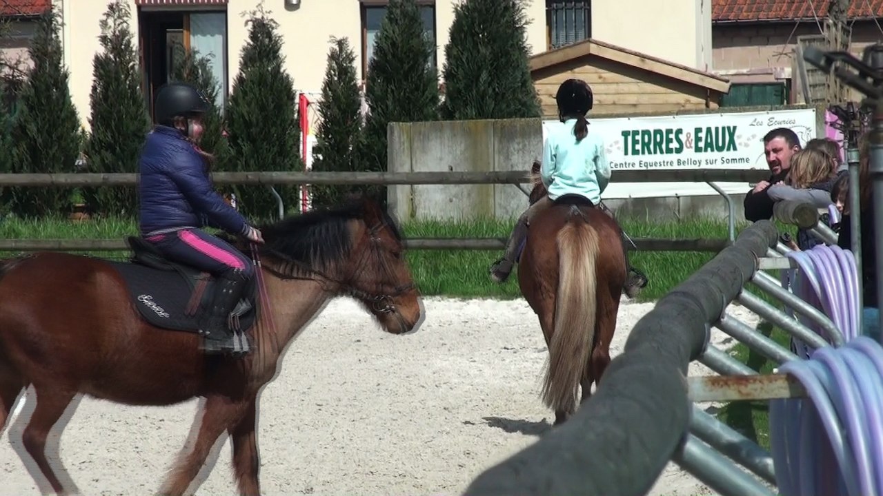 Concours interne Ecuries de Belloy Maelys 10 Avril 2016