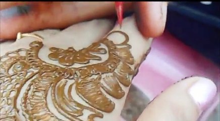 Easy Indo Arabi Mehendi Design For Beginners-Simple Modern Design Henna Mehndi 2013