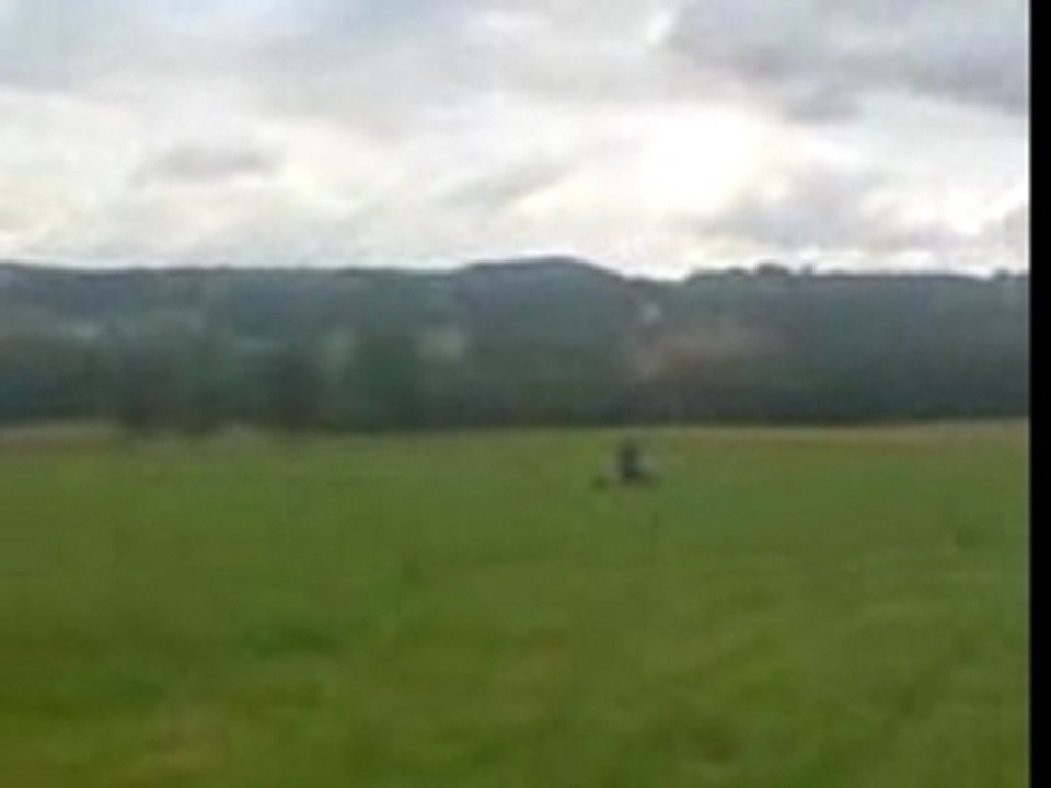 MOV00965