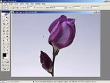 Photoshop CS Dersleri -Boyama aracıyla seçim alanı oluşturmak