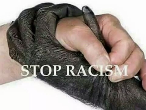 Stop #Racism Post (Went Too Far)