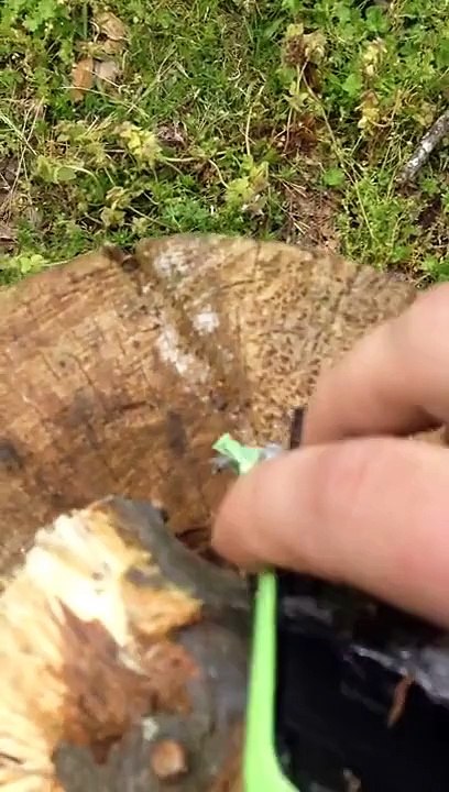 Elle casse les téléphones de ses enfants avec un fusil