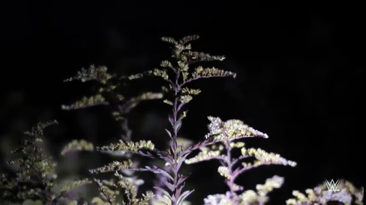 Bray Wyatt and the man in the woods׃ Superstar Ghost Stories