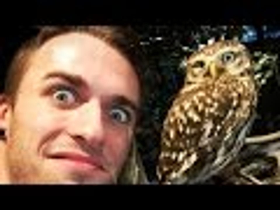 UN VLOG CHOUETTE !