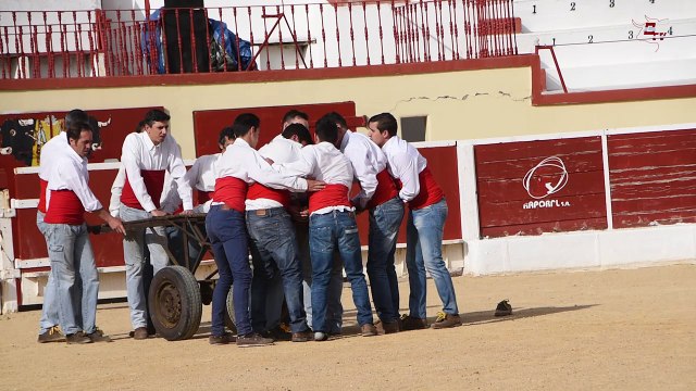Aulas práticas de Tauromaquia na praça de Toiros do Montijo