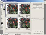 Photoshop CS Dersleri -Gif,jpeg ve png dosya formatlarını karşılaştırmak