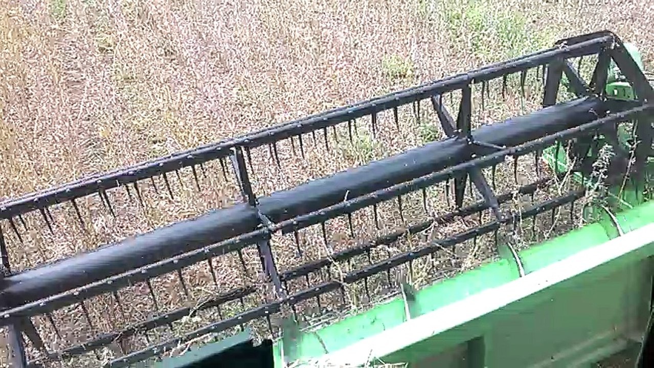 Seifa colhendo soja e arroz