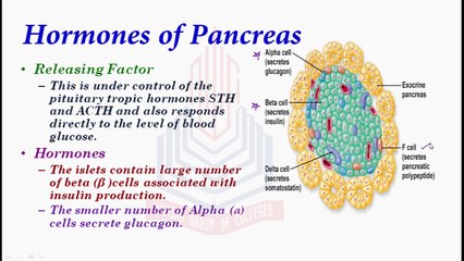 Function of Insulin  and Effect of Under secretion of Insulin