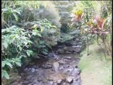 Spiritual Magnetic Retreat in Paradise: Costa Rica