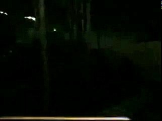 Disney's California Adventure - California Screamin' (night)