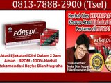 0813-7888-2900 (Tsel), Stokis Foredi Ujung Batu,
