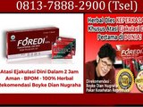 0813-7888-2900 (Tsel), Agen Foredi Gel Ujung Batu,