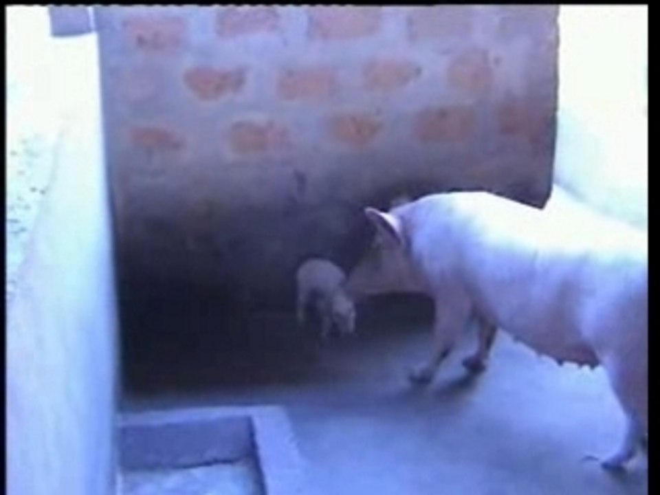 Extrait du Film Bénin 2005