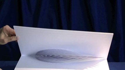 Handmade Cardboard 3D Pop-Up