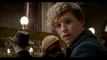 Fantastic Beasts and Where to Find Them - Official Teaser Movie Trailer #2 -  Ezra Miller, Eddie Redmayne, Colin Farrell
