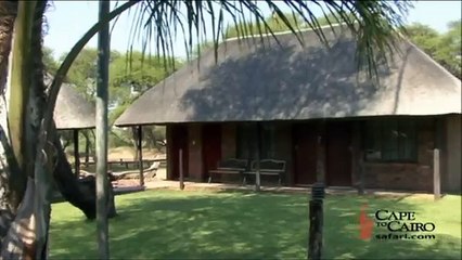 Cape to Cairo Limpopo Hunting Camp South Africa