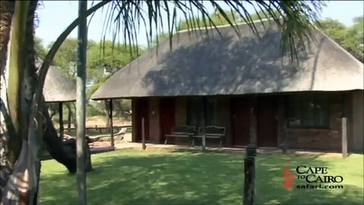 Cape to Cairo Limpopo Hunting Camp South Africa