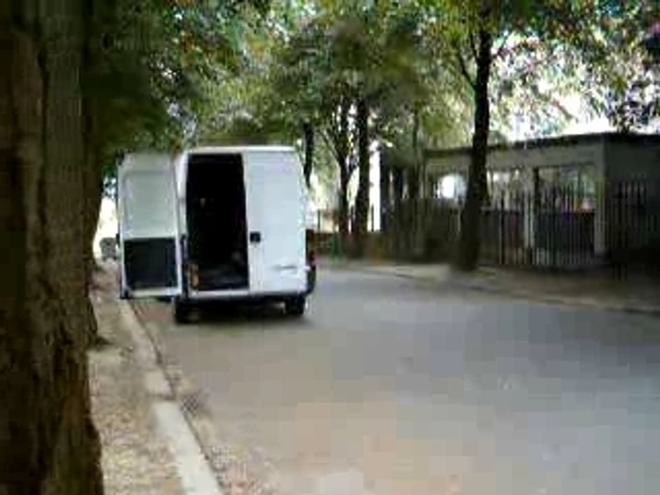 tiger de guindeau