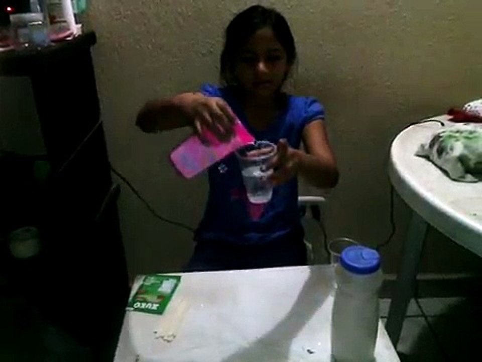 Como hacer helados de jamaica